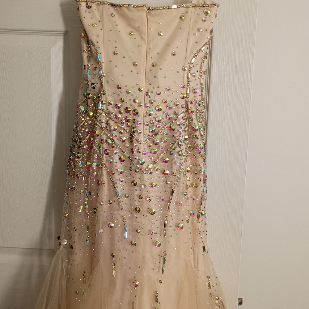 Anny Lee Soft Blush/Pale Pink Lined Polyester Garment